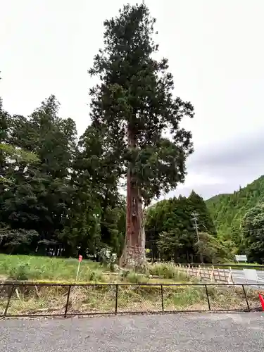 室生龍穴神社(奈良県)
