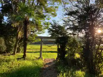 八幡神社の鳥居