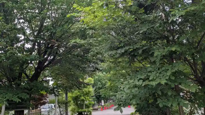 上川神社頓宮の自然