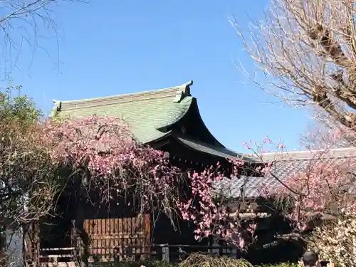五條天神社の本殿・本堂