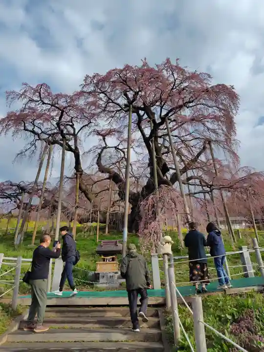 瀧桜神明宮(福島県)