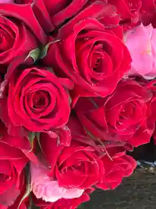 上尾御嶽神社(埼玉県)(2026年04月03日(金) 19時06分43秒投稿)