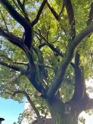 仙寿院の{uncategorized: "未分類", other: "その他", undefined: "問題あり", building: "その他建物", grave: "お墓", sacred_gate: "鳥居", guardian: "狛犬", statue: "像", buddha: "仏像", history: "歴史", nature: "自然", garden: "庭園", animal: "動物", pagoda: "塔", temizu: "手水舎", mountain_gate: "山門・神門", sanctuary: "本殿・本堂", subordinate: "末社・摂社", art: "芸術", scenery: "景色", jizo: "地蔵", ema: "絵馬", goshuin: "御朱印", omikuji: "おみくじ", items: "授与品その他", amulet: "お守り", goshuincho: "御朱印帳", eats: "食事", festival: "お祭り", votive_dance: "神楽", shichigosan: "七五三参", wedding: "結婚式", experience: "体験その他", initially: "初詣", around: "周辺", anti_infection: "感染症対策"}