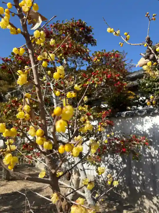 赤岩寺の{uncategorized: "未分類", other: "その他", undefined: "問題あり", building: "その他建物", grave: "お墓", sacred_gate: "鳥居", guardian: "狛犬", statue: "像", buddha: "仏像", history: "歴史", nature: "自然", garden: "庭園", animal: "動物", pagoda: "塔", temizu: "手水舎", mountain_gate: "山門・神門", sanctuary: "本殿・本堂", subordinate: "末社・摂社", art: "芸術", scenery: "景色", jizo: "地蔵", ema: "絵馬", goshuin: "御朱印", omikuji: "おみくじ", items: "授与品その他", amulet: "お守り", goshuincho: "御朱印帳", eats: "食事", festival: "お祭り", votive_dance: "神楽", shichigosan: "七五三参", wedding: "結婚式", experience: "体験その他", initially: "初詣", around: "周辺", anti_infection: "感染症対策"}