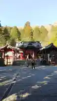 箱根神社の本殿・本堂