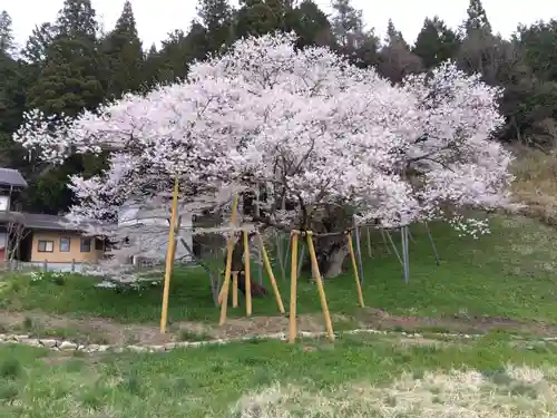大幢寺(岐阜県)
