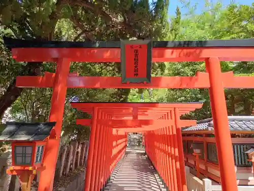 服部住吉神社の鳥居