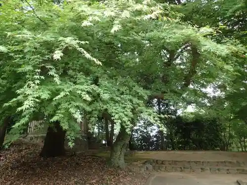 神坐日向神社（大神神社摂社）のその他建物