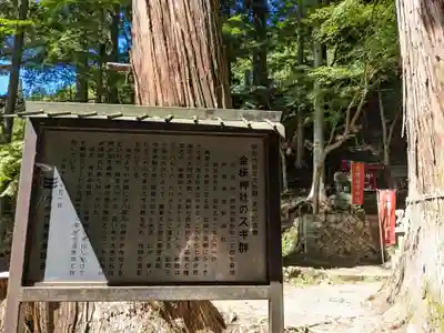 金櫻神社(山梨県)