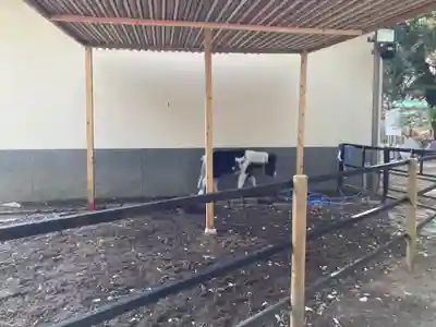 平塚八幡宮(神奈川県)