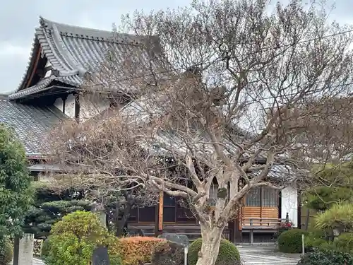 行住院(京都府)