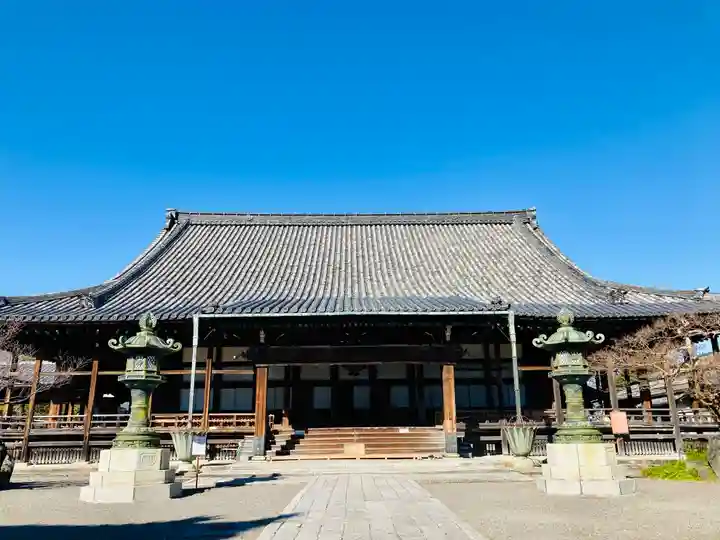 大通寺(長浜御坊)の本殿・本堂