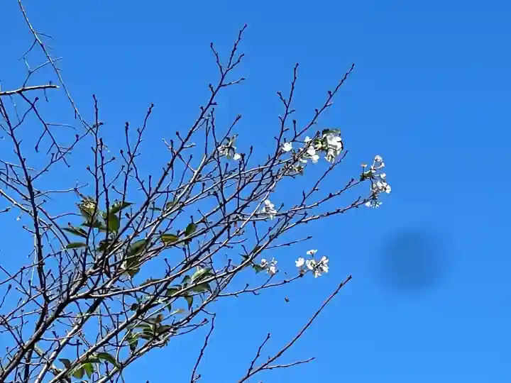 手力雄神社(岐阜県)