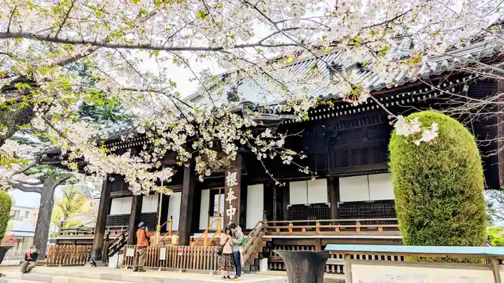 寛永寺(根本中堂)の本殿・本堂