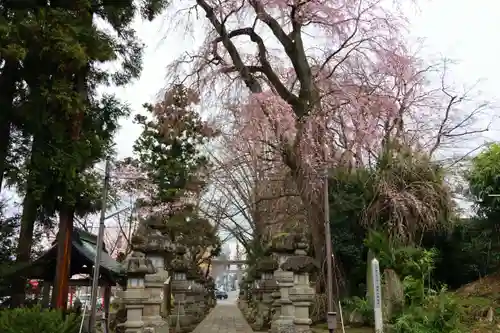神炊館神社 ⁂奥州須賀川総鎮守⁂の景色