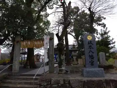 坂本八幡宮の鳥居