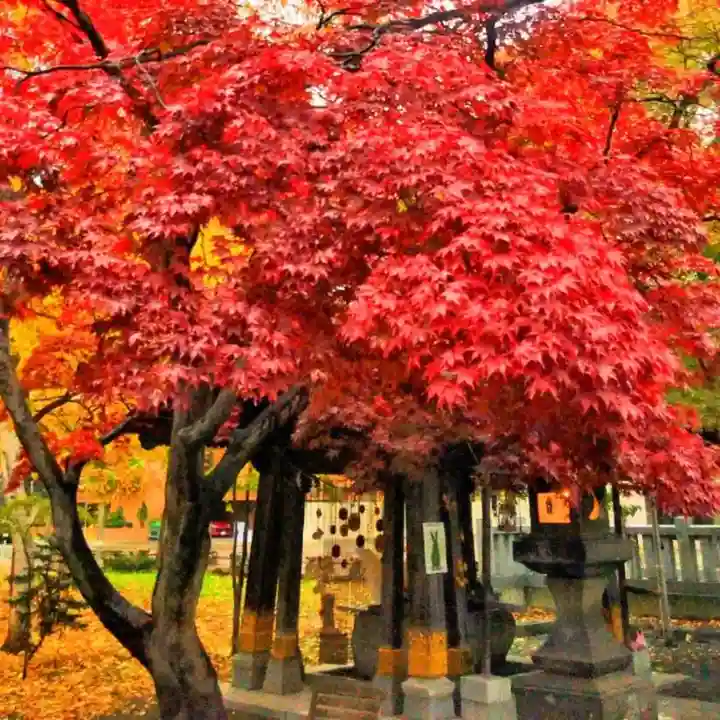 彌彦神社 (伊夜日子神社)の自然