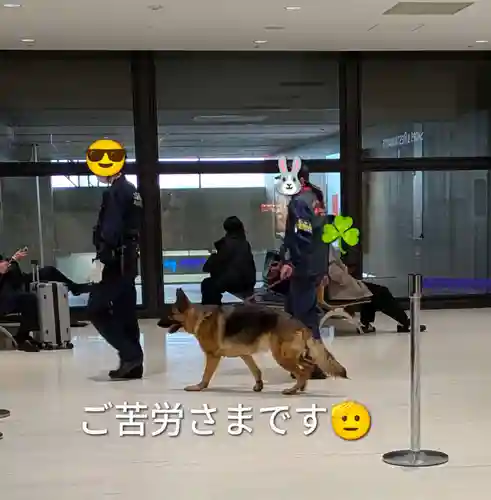 離宮八幡宮(京都府)