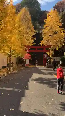 愛宕神社の鳥居