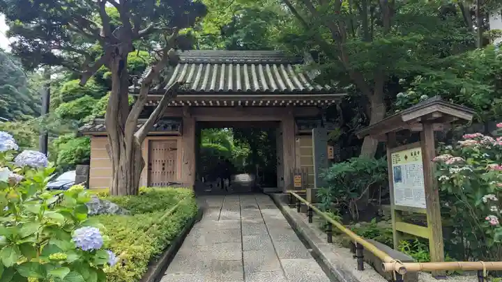 報国寺(神奈川県)
