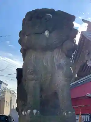 滝野川八幡神社の狛犬