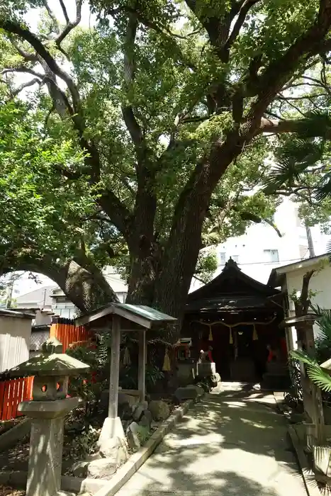 末廣稲荷神社の建物その他