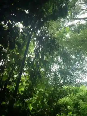 白髭社(愛知県)