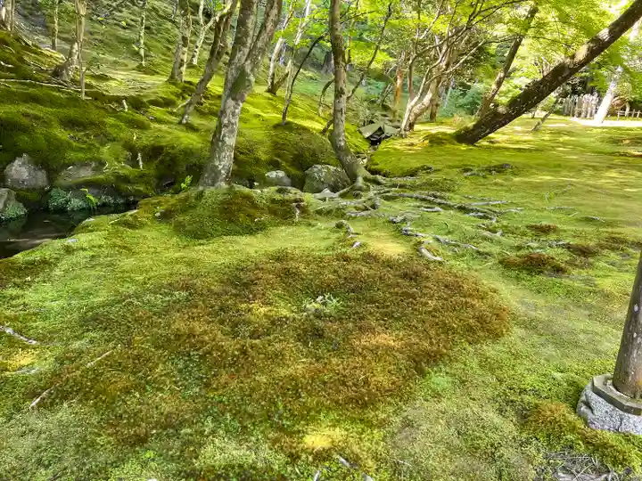 慈照寺(慈照禅寺・銀閣寺)(京都府)