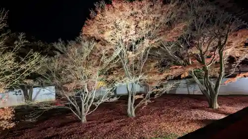 妙覺寺（妙覚寺）(京都府)