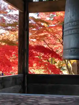 毛越寺(岩手県)