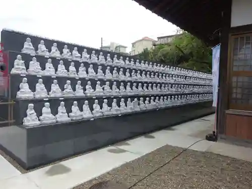 龍澤山祥雲寺の仏像