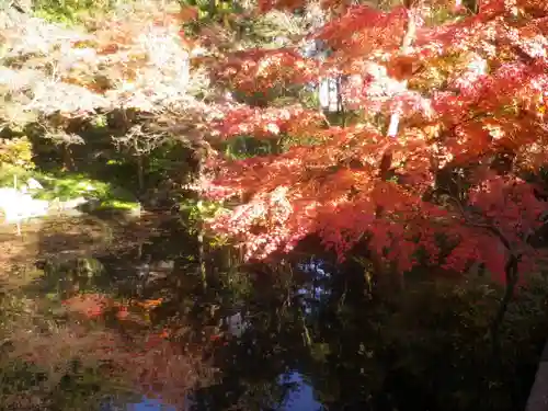 鶴岡八幡宮の自然