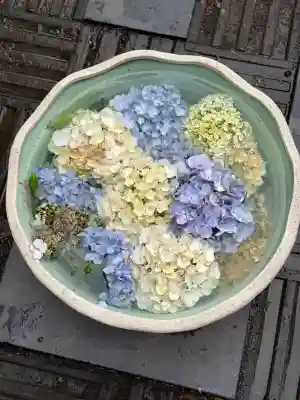 性海寺(愛知県)