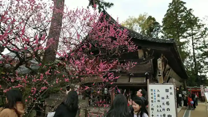 北野天満宮の庭園