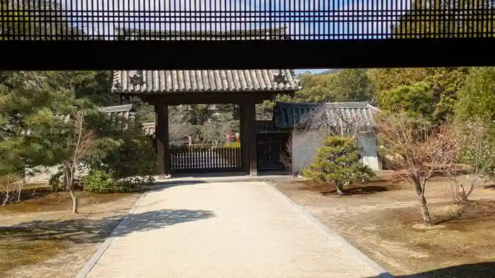 隨心院(随心院)(京都府)