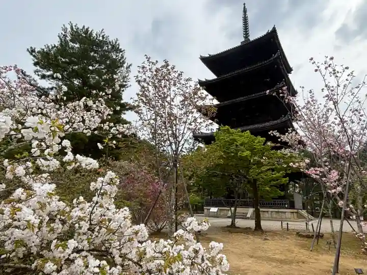 仁和寺(京都府)