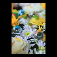 土津神社|こどもと出世の神さまの手水舎