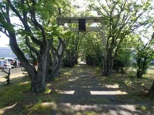 本村井神社の鳥居