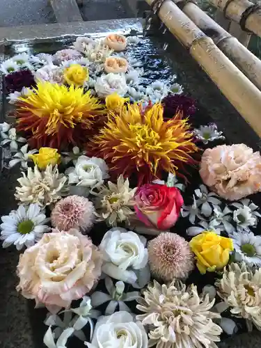 糀谷八幡宮の手水舎