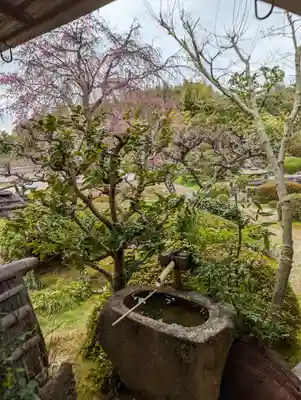 正法寺(京都府)