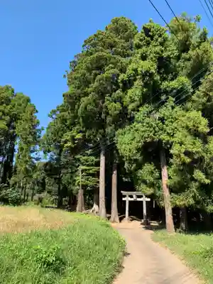 出戸稲荷神社(千葉県)