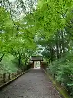 金藏院(聖法寺)の自然