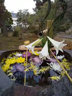 三十三間堂本坊 妙法院門跡の手水舎