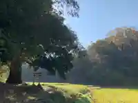妙見神社の鳥居