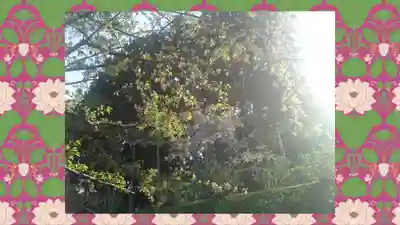 水澤寺(水澤観世音)(群馬県)