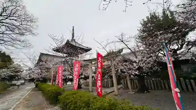 本法寺(京都府)