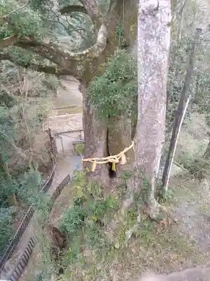 笠森寺(千葉県)