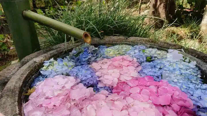 唐澤山神社の手水舎