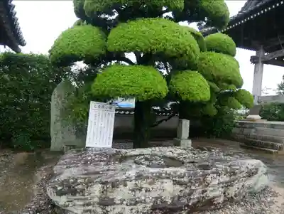 国分寺のその他建物