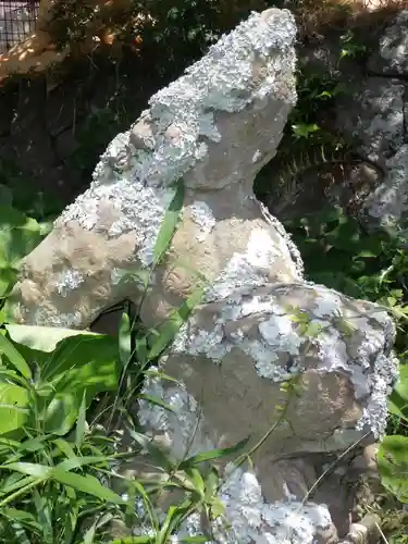 天佐志比古命神社の狛犬